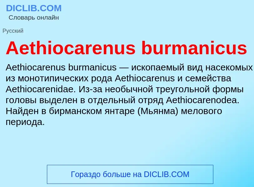 Τι είναι Aethiocarenus burmanicus - ορισμός