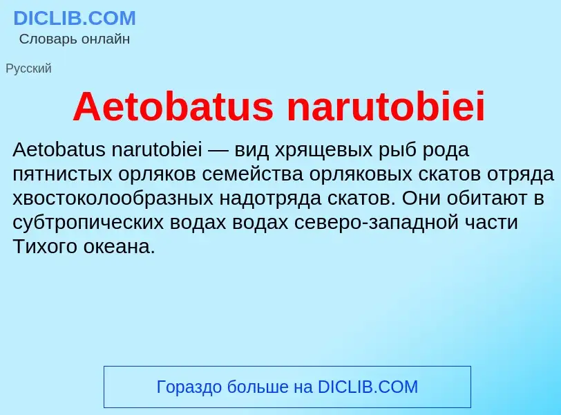 Τι είναι Aetobatus narutobiei - ορισμός