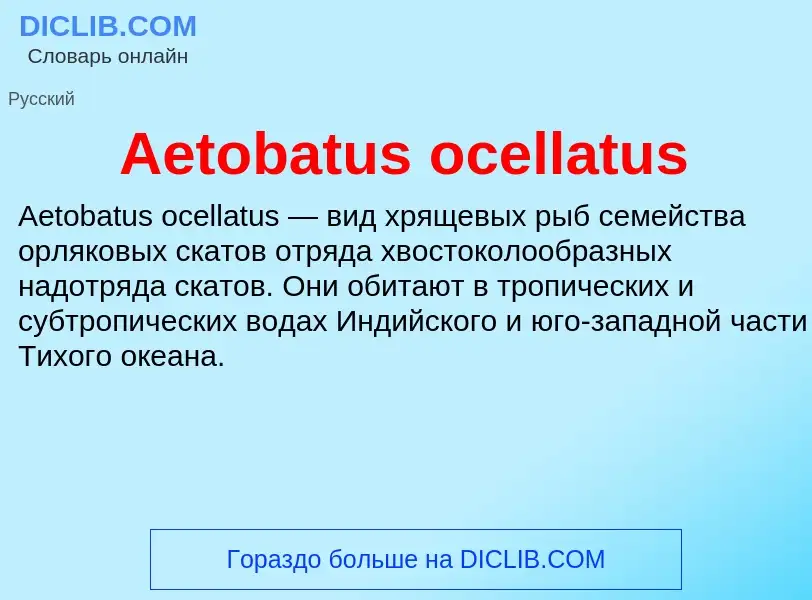 Τι είναι Aetobatus ocellatus - ορισμός