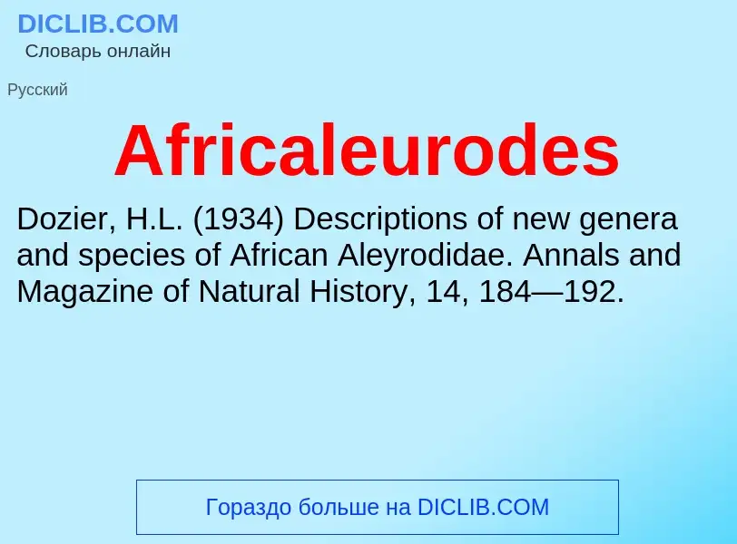 Τι είναι Africaleurodes - ορισμός