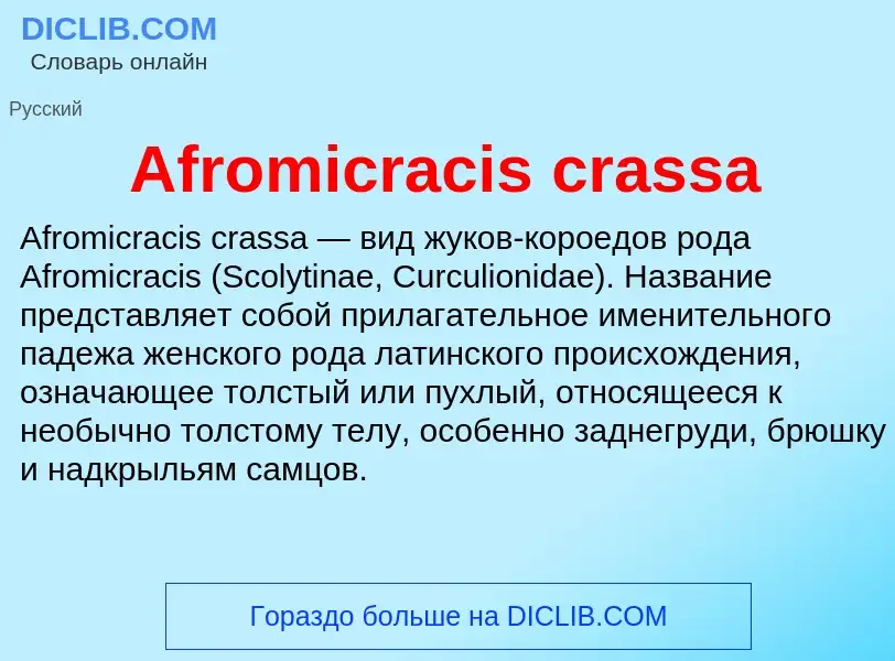 Τι είναι Afromicracis crassa - ορισμός