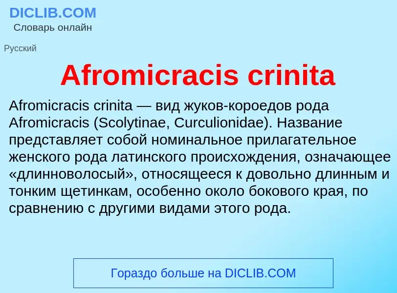 Τι είναι Afromicracis crinita - ορισμός