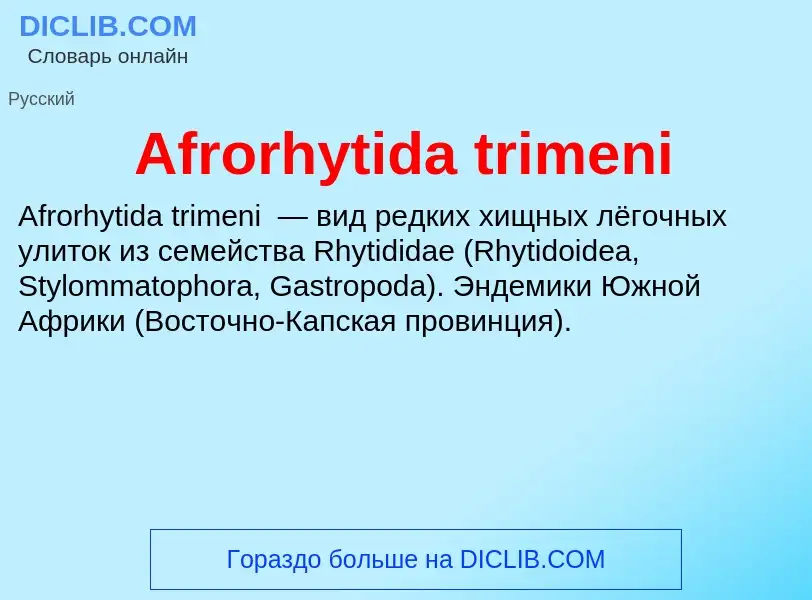 Τι είναι Afrorhytida trimeni - ορισμός