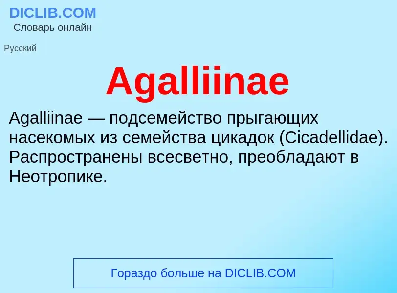 Τι είναι Agalliinae - ορισμός