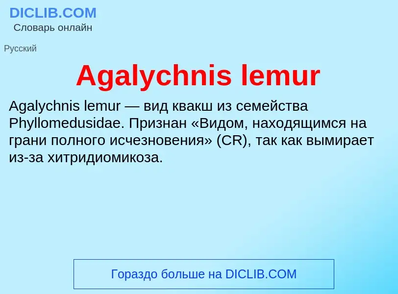 Τι είναι Agalychnis lemur - ορισμός