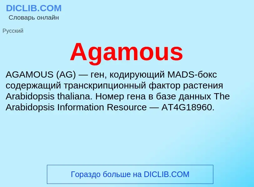 Τι είναι Agamous - ορισμός