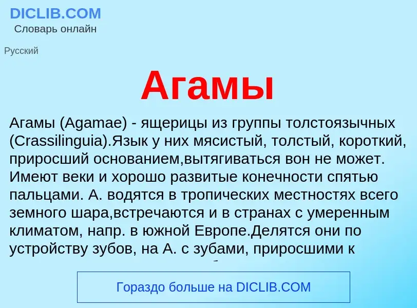 ¿Qué es Агамы? - significado y definición