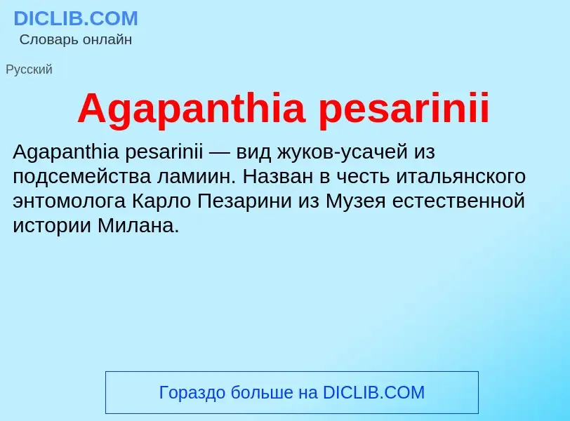 Τι είναι Agapanthia pesarinii - ορισμός