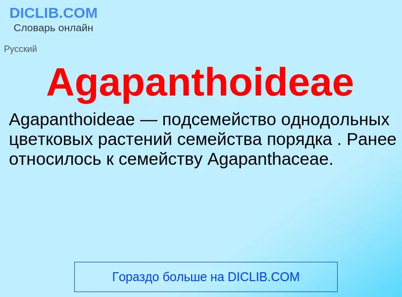 Τι είναι Agapanthoideae - ορισμός