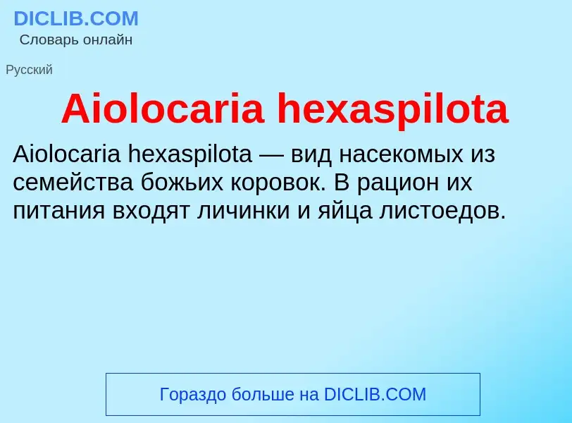 Τι είναι Aiolocaria hexaspilota - ορισμός