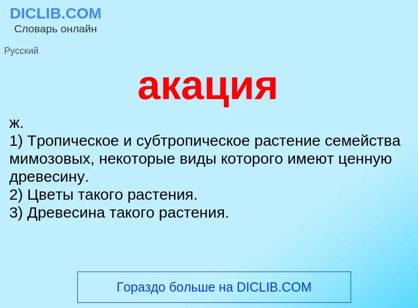 Что такое акация - определение