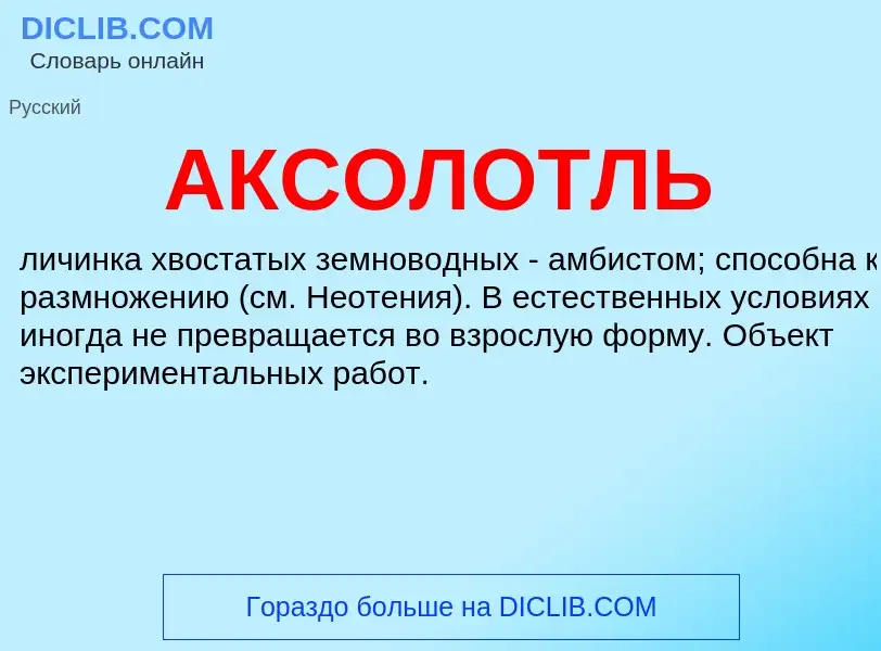 Was ist АКСОЛОТЛЬ - Definition