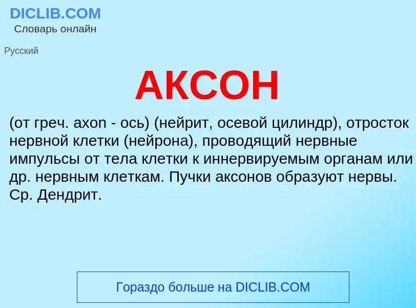 ¿Qué es АКСОН? - significado y definición