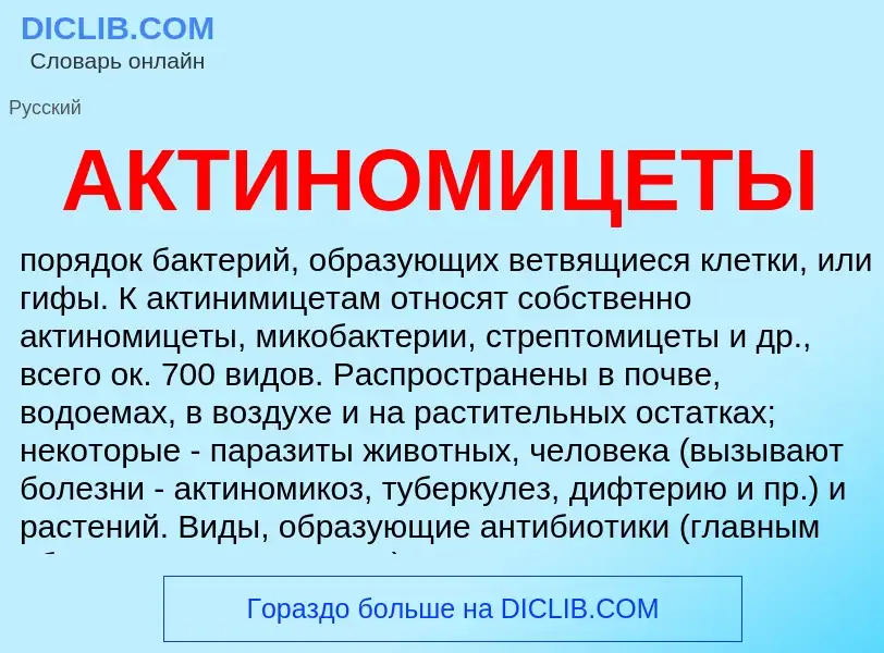 Wat is АКТИНОМИЦЕТЫ - definition