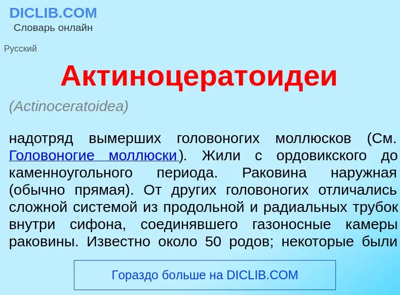 Che cos'è Актиноцератоид<font color="red">е</font>и - definizione