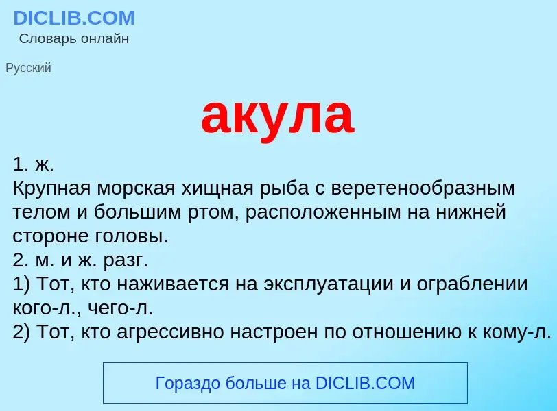 Wat is акула - definition