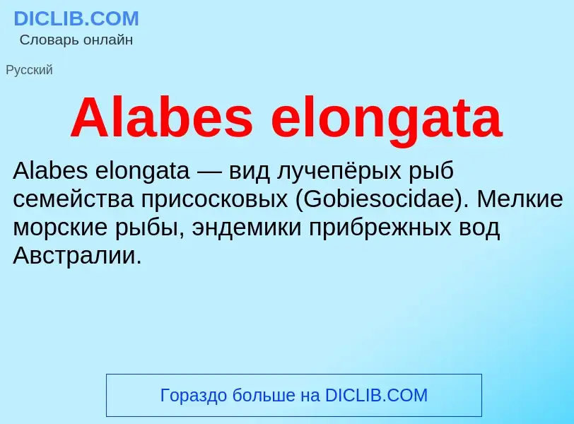 Τι είναι Alabes elongata - ορισμός