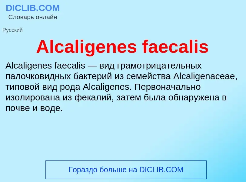 Τι είναι Alcaligenes faecalis - ορισμός