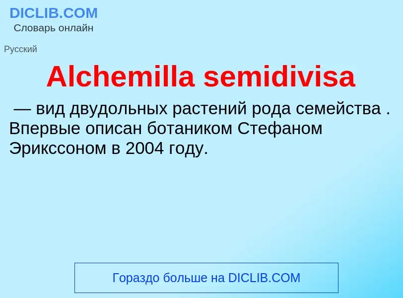 Τι είναι Alchemilla semidivisa - ορισμός