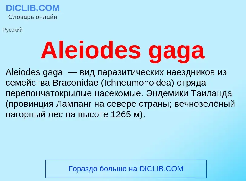 Τι είναι Aleiodes gaga - ορισμός