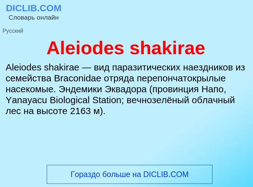 Τι είναι Aleiodes shakirae - ορισμός