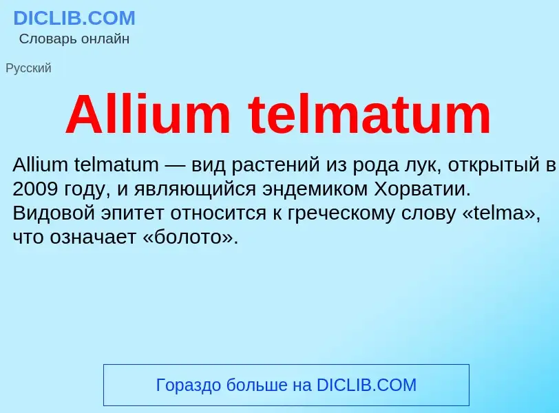 Τι είναι Allium telmatum - ορισμός