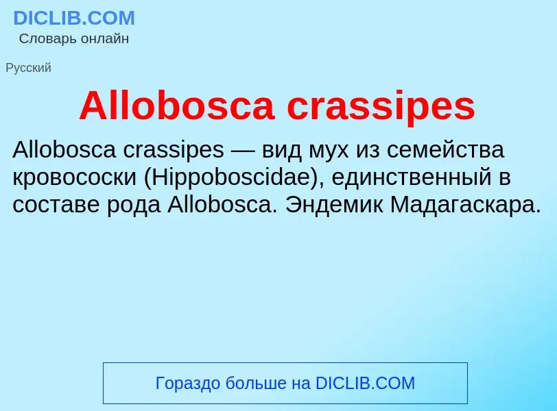 Τι είναι Allobosca crassipes - ορισμός