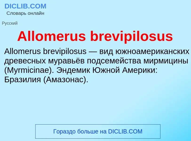 Τι είναι Allomerus brevipilosus - ορισμός