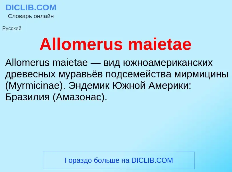 Τι είναι Allomerus maietae - ορισμός