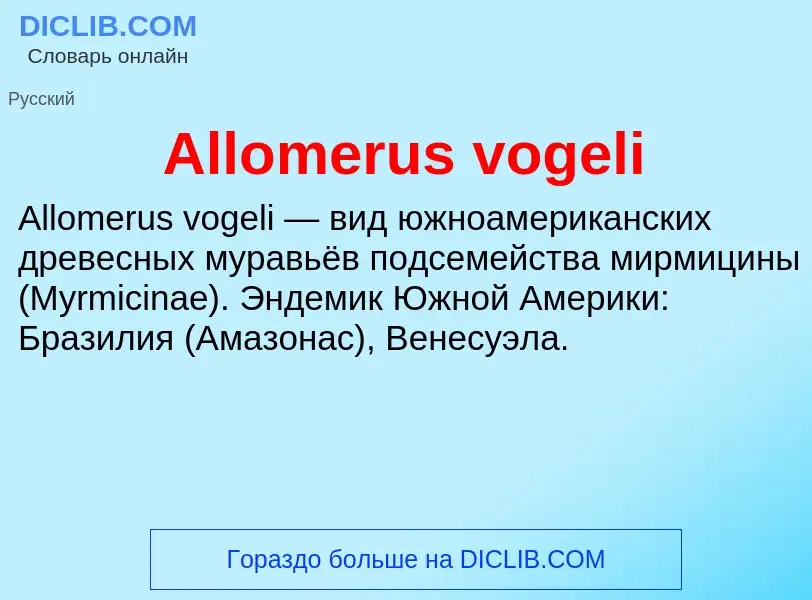 Τι είναι Allomerus vogeli - ορισμός