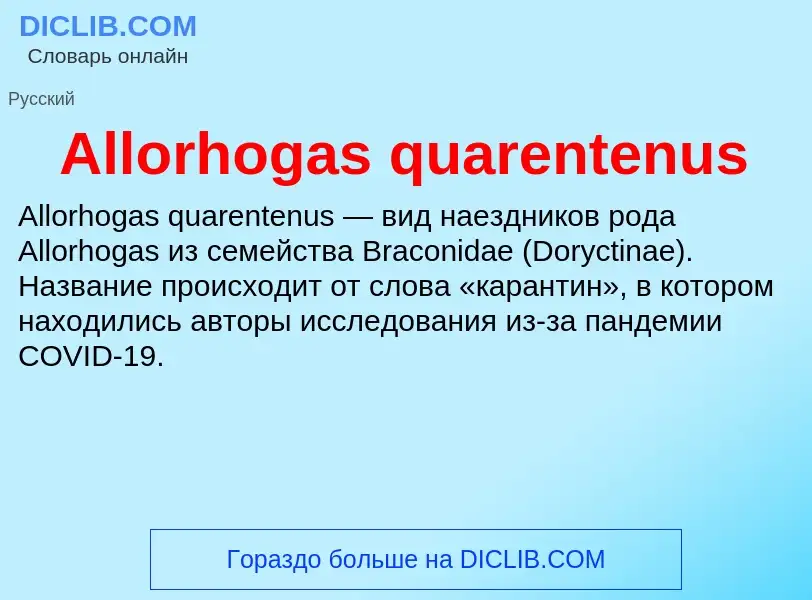 Τι είναι Allorhogas quarentenus - ορισμός