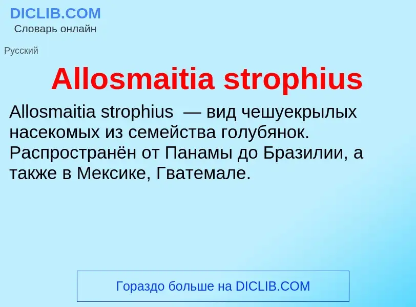 Τι είναι Allosmaitia strophius - ορισμός