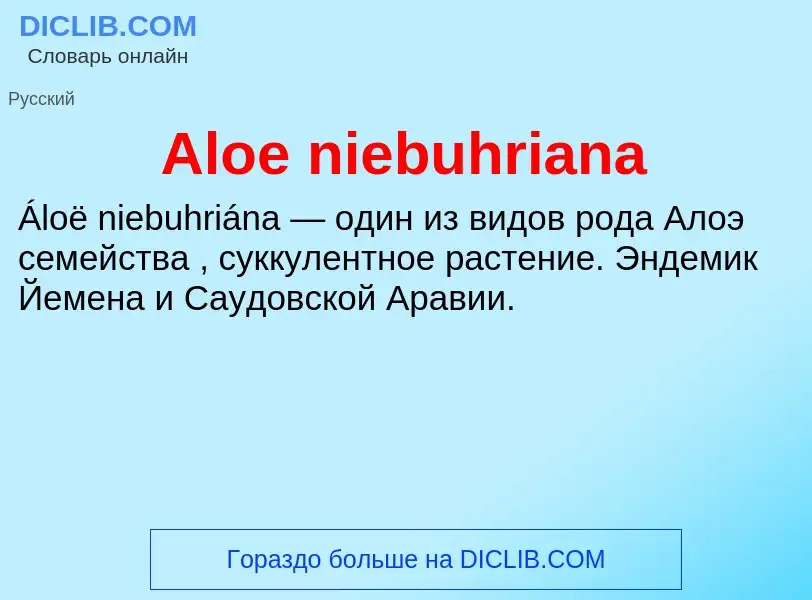 Τι είναι Aloe niebuhriana - ορισμός