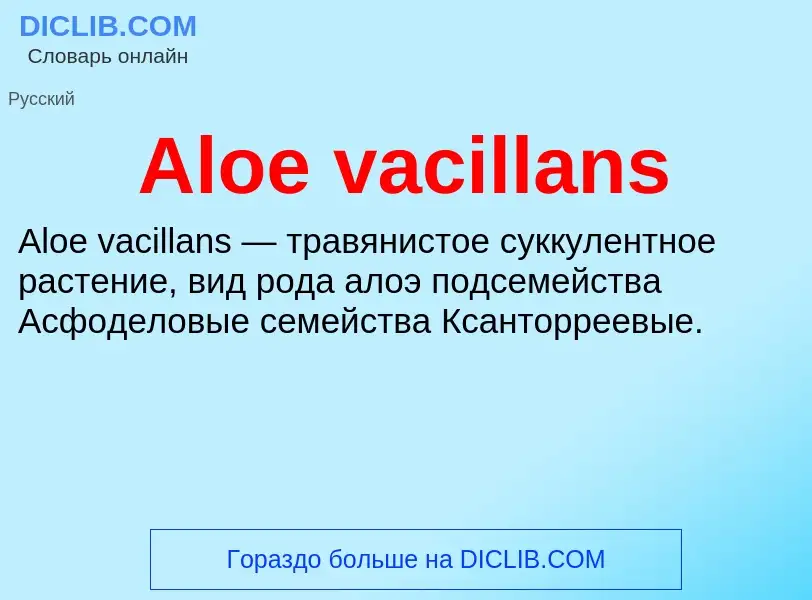 Τι είναι Aloe vacillans - ορισμός