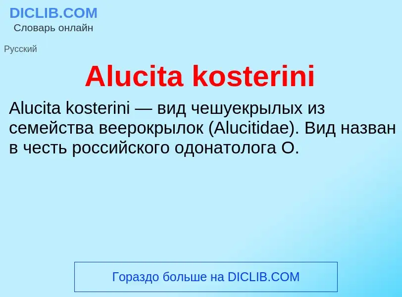 Τι είναι Alucita kosterini - ορισμός