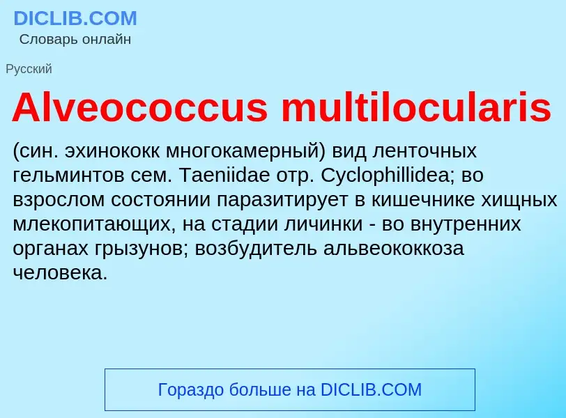 Τι είναι Alveococcus multilocularis  - ορισμός