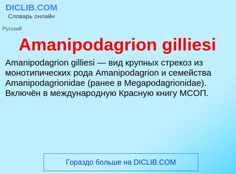 Τι είναι Amanipodagrion gilliesi - ορισμός