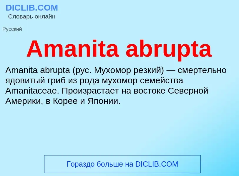 Τι είναι Amanita abrupta - ορισμός