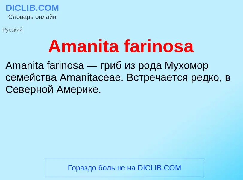 Τι είναι Amanita farinosa - ορισμός