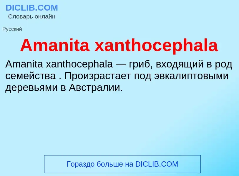 Τι είναι Amanita xanthocephala - ορισμός