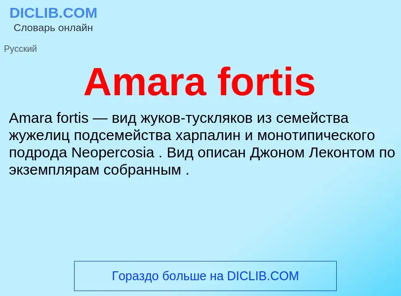 Τι είναι Amara fortis - ορισμός