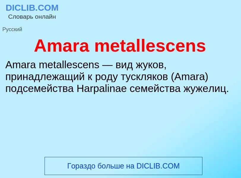 Τι είναι Amara metallescens - ορισμός