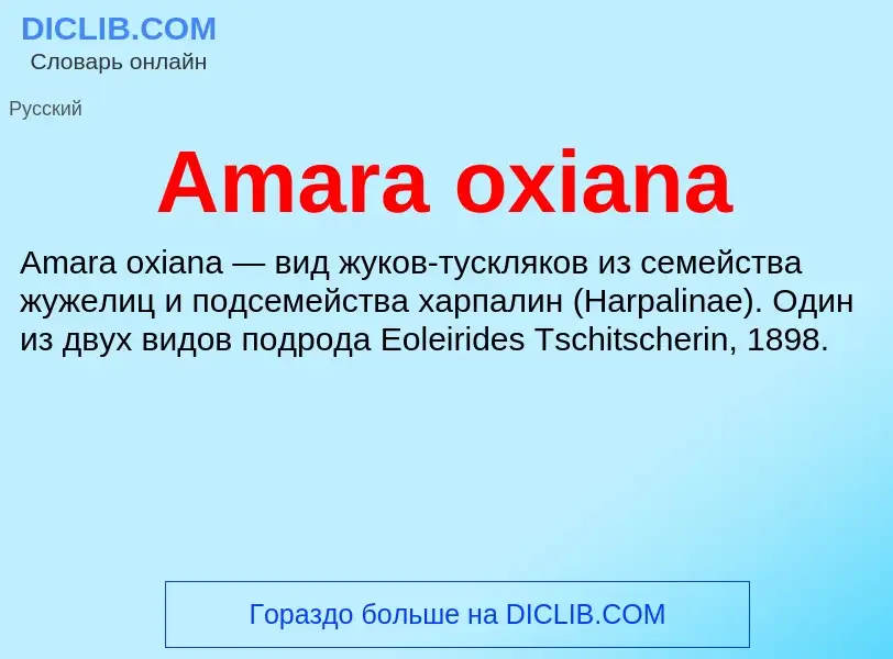 Τι είναι Amara oxiana - ορισμός