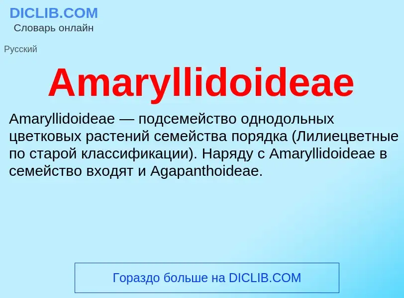 Τι είναι Amaryllidoideae - ορισμός