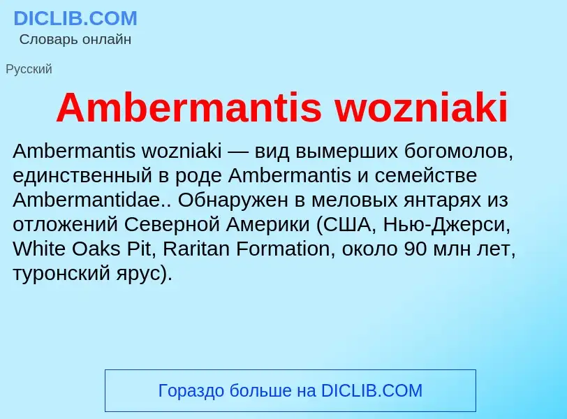 Τι είναι Ambermantis wozniaki - ορισμός