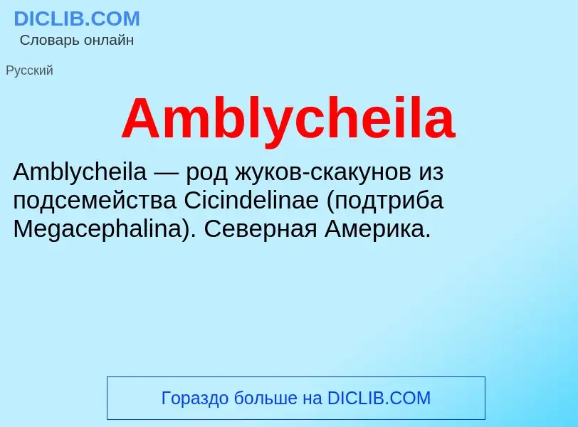 Τι είναι Amblycheila - ορισμός