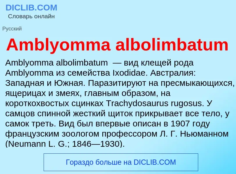 Τι είναι Amblyomma albolimbatum - ορισμός