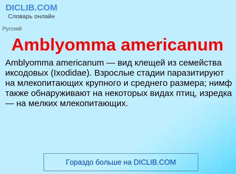 Τι είναι Amblyomma americanum - ορισμός