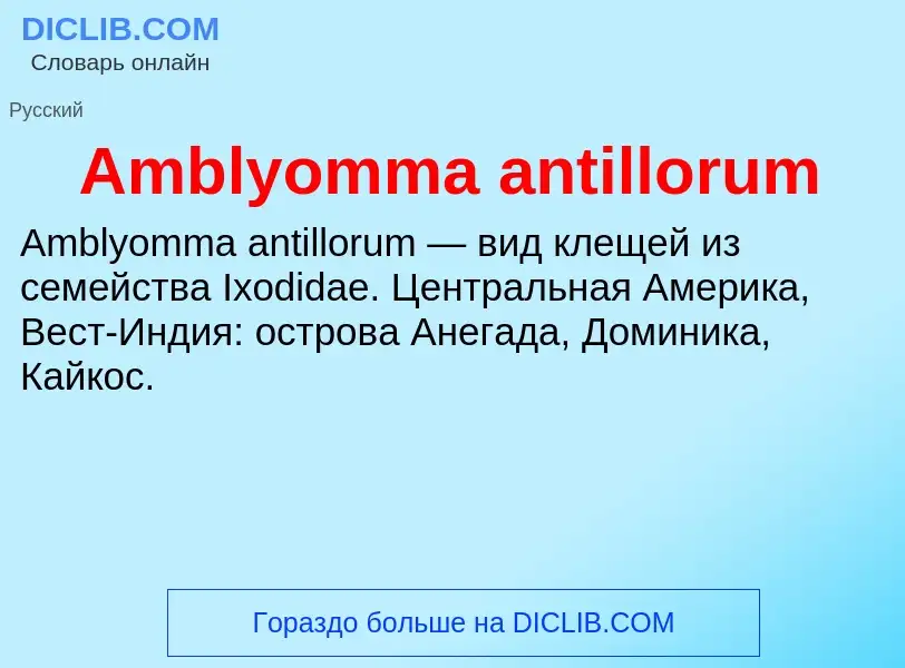 Τι είναι Amblyomma antillorum - ορισμός