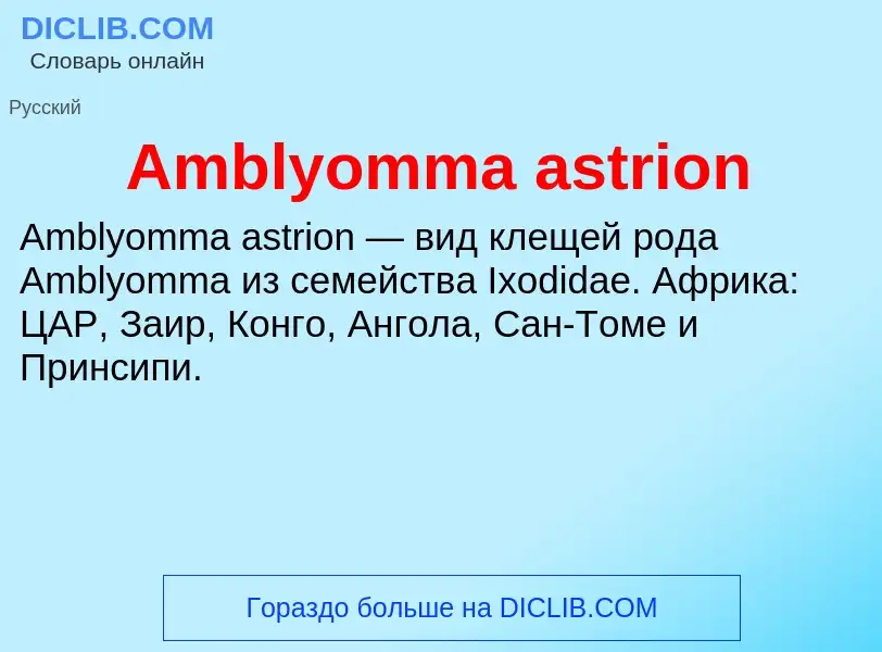 Τι είναι Amblyomma astrion - ορισμός